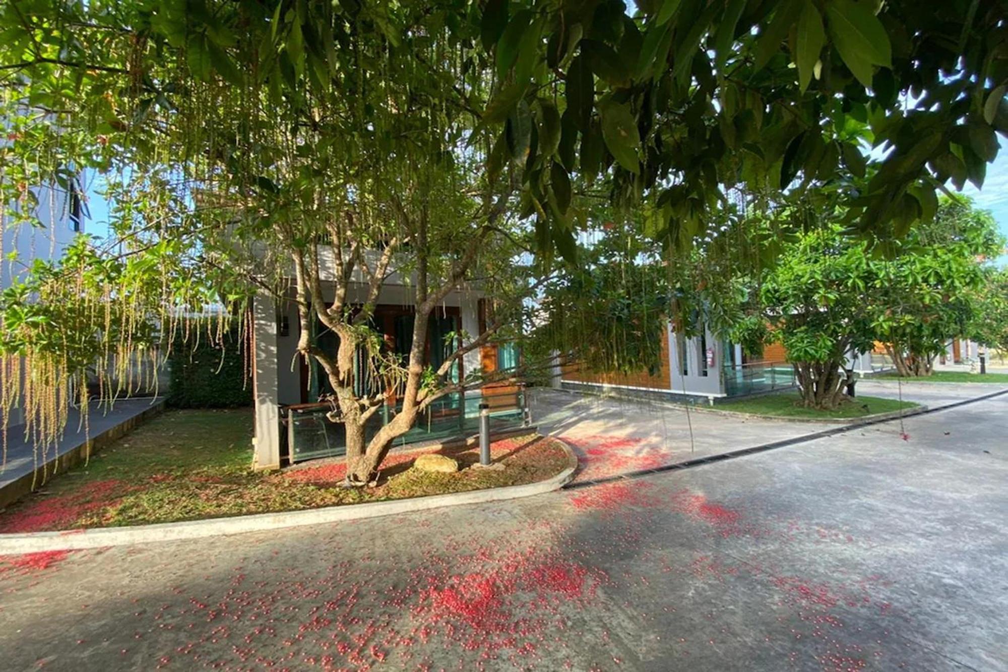 Nutchana Hill Boutique Hotel Hat Yai Exterior foto