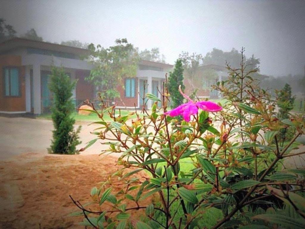 Nutchana Hill Boutique Hotel Hat Yai Exterior foto